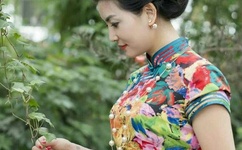 免费伦费一区二区三区四区